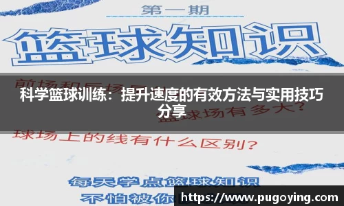 星空·体育中国综合官方网站