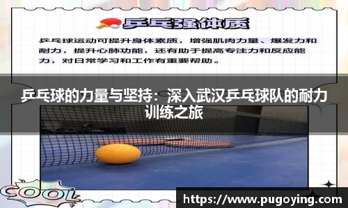 乒乓球的力量与坚持：深入武汉乒乓球队的耐力训练之旅